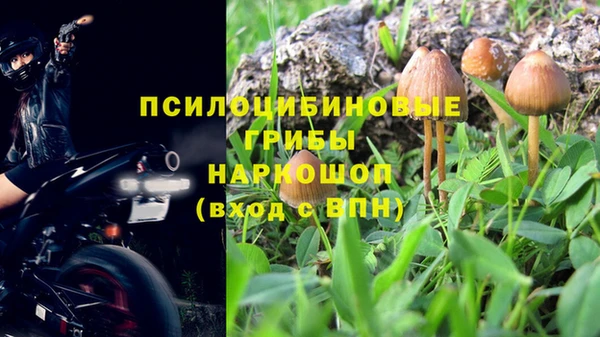 тгк Аркадак
