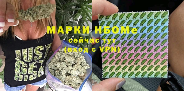 дживик Арсеньев