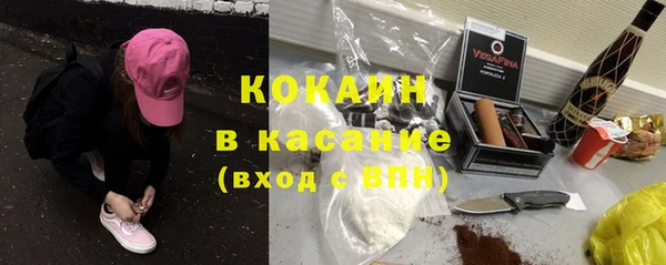 дживик Арсеньев