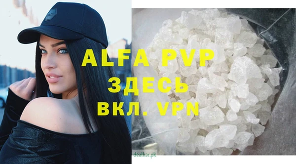дживик Арсеньев